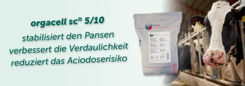 orgacell sc stabilisiert den Pansen 