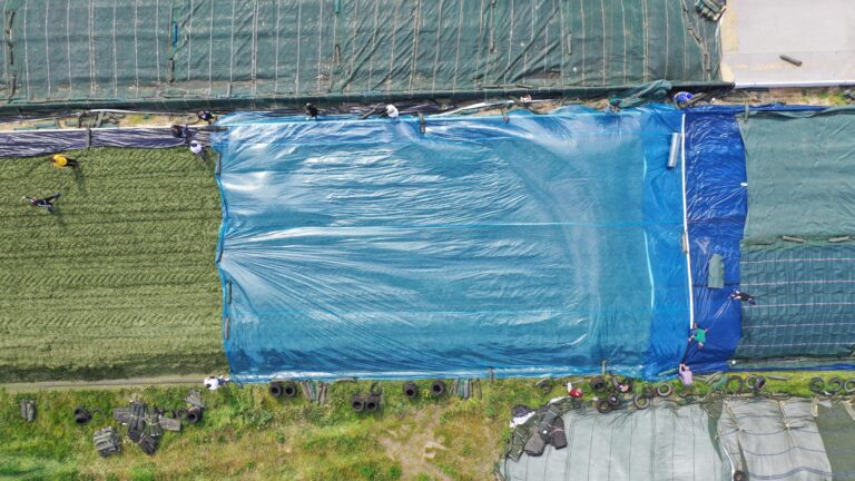 Luftaufnahme eines Fahrsilos, das mit einer OXY MAX 50 Silofolie abgedeckt wird. Neben dem Silo sind Schutzgitter und Sandsäcke zur Beschwerung zu sehen.